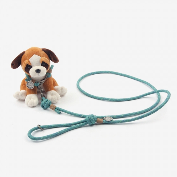 My Only Rope Leash (Mint)