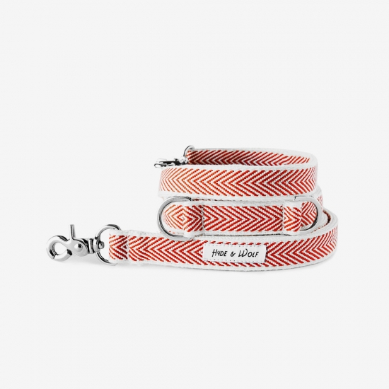 RED COBY SILVER LEASH